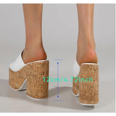 LBSFY -Retro Denim Fabric 12cm High Heels Female Slippers Sandals Summer 2025 Thick Bottom Platform Open Toe Trendy Women Casual Shoes