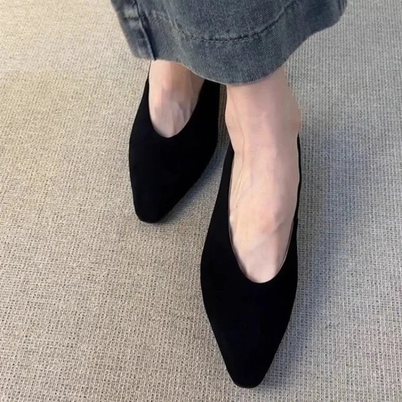 LBSFY -Vintage Pointed Toe Women Granny Shoes Fashion Shallow Slip On Shoes Dancing Party Prom Ladies Pumps Shoes
