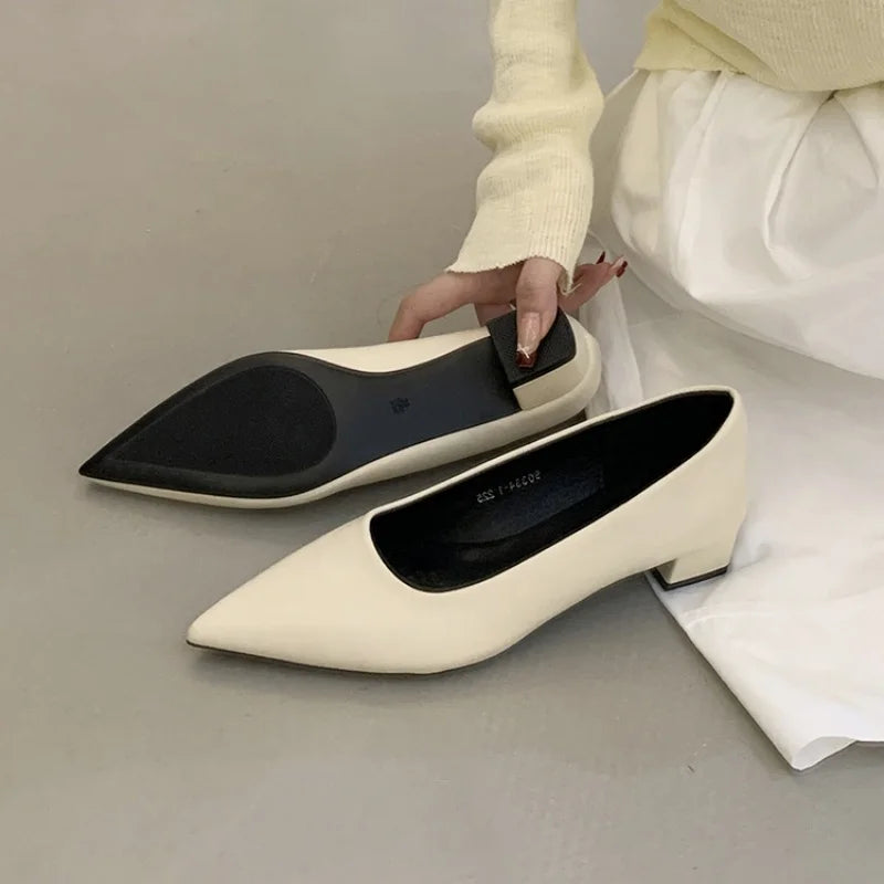 LBSFY  -Brand Women Flats Fashion Soft Casual Women Loafers Pointed Toe Shallow Slip On Elegant Ballerina Shoes Low Heels Dress