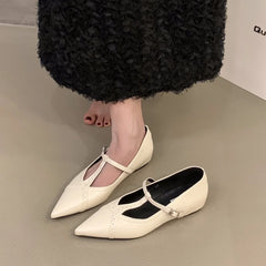 LBSFY  -Spring New Women Flats Brand Design Point Toe Women Ballet Shoes Casual Buckle Strap Female Dress Shoes Low Heels