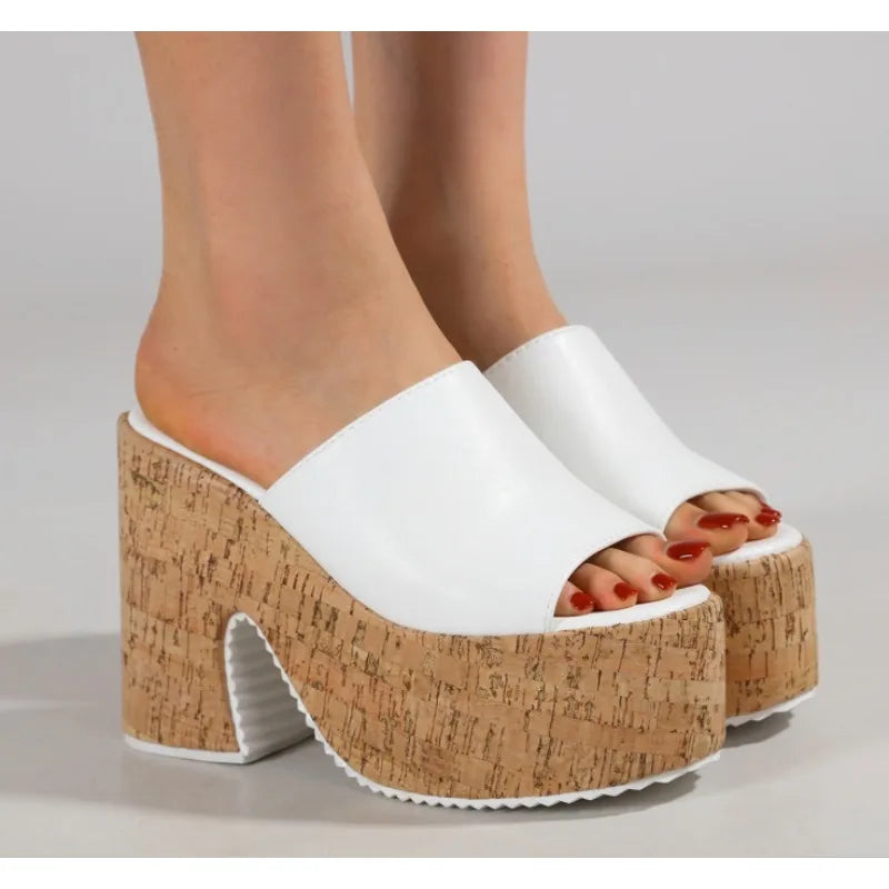 LBSFY -Retro Denim Fabric 12cm High Heels Female Slippers Sandals Summer 2025 Thick Bottom Platform Open Toe Trendy Women Casual Shoes
