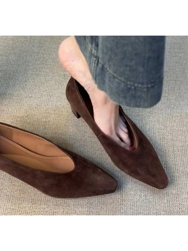 LBSFY -Vintage Pointed Toe Women Granny Shoes Fashion Shallow Slip On Shoes Dancing Party Prom Ladies Pumps Shoes
