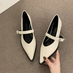 LBSFY -New Style Elegant Pointed Toe Women Heels Shoes Chunky Fashion Heeled Sandals Summer Party Pumps Dress Sandals Zapatos Mujer