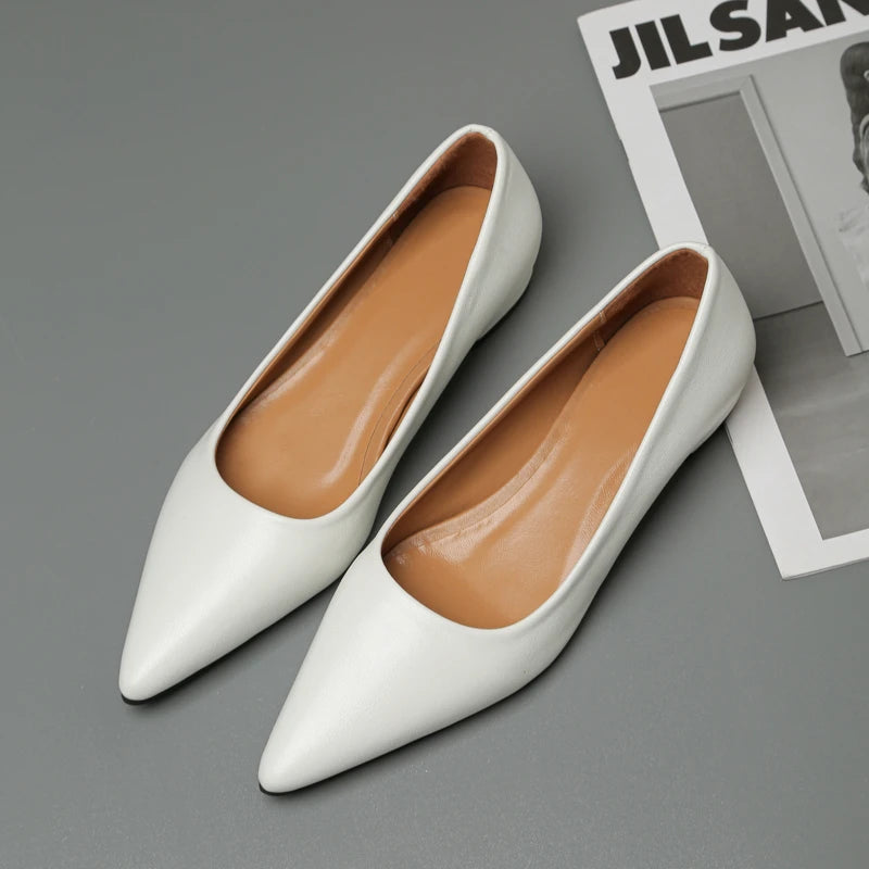 LBSFY  -New Pointed Toe Shallow Mouth Square Heel Small Leather Shoes Women's Elegant Fashion High Heels Dress Shoes Zapatos Mujer