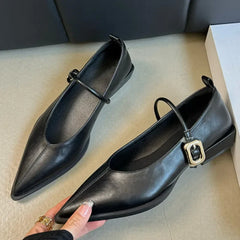 LBSFY -Pointed Toe Women Shoes Buckle Strap Solid Color Retro Designer Brand Low Heel Shallow Female Shoes Leather Concise Casual Shoes