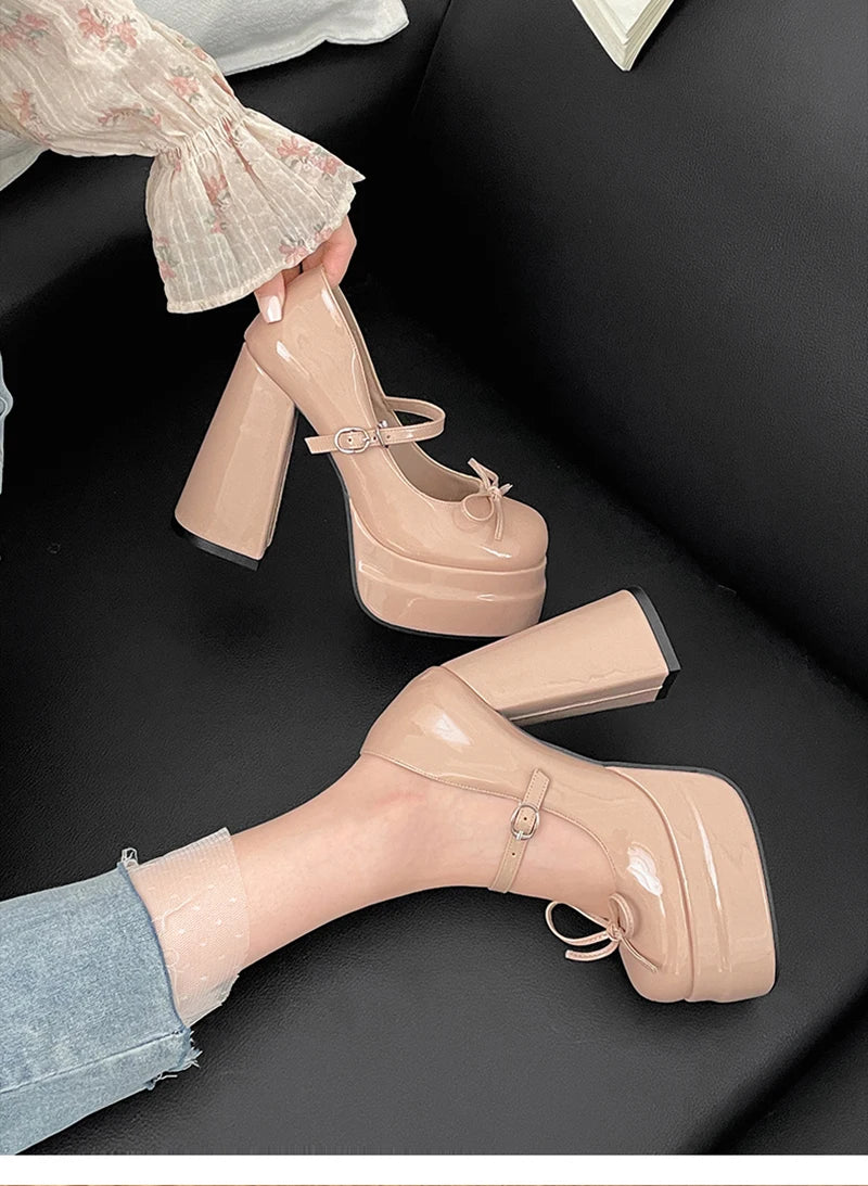 LBSFY -Autumn Platform Thick Heel Women Mary Jane Shoes Fashion Butterfly-knot Shoes Ladies Outdoor Dress Pumps