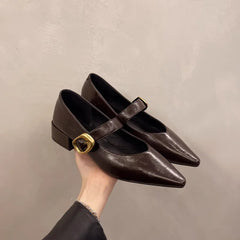 LBSFY -New Style Design High Heeled Mary Jane Pointed Toe Women Single Shoes Leather Comfort Spring Summer Dress Sexy Women's Shoes