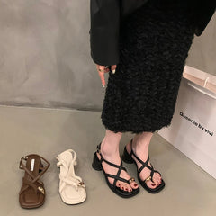 LBSFY  -  2024 Summers Gladiator Women's Sandals Fashion Narrow Band High Heel Ladies Elegant Outdoor Clip Toe Sandalias