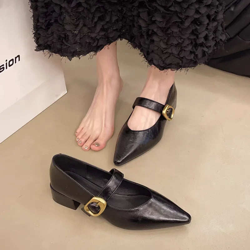 LBSFY -New Style Design High Heeled Mary Jane Pointed Toe Women Single Shoes Leather Comfort Spring Summer Dress Sexy Women's Shoes