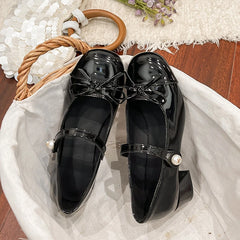 LBSFY -Spring/Summer New Style Fashionable Mary Jane Shoes Shallow Round Toe Mid Heel Shoes Ladies Elegant Outdoor Single Pumps Shoes
