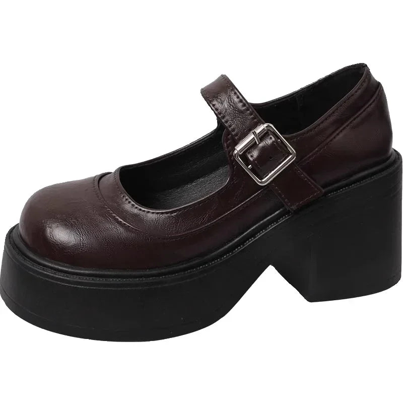 LBSFY -Brown Retro French Thick Heel Mary Janes Women's Shoes Spring 2025 New Style Heightening Flat Mouth High Heels Loafers Shoes