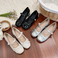 LBSFY -Spring/Summer New Style Fashionable Mary Jane Shoes Shallow Round Toe Mid Heel Shoes Ladies Elegant Outdoor Single Pumps Shoes