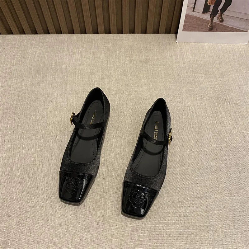 LBSFY  - Spring New Mary Jane Women's Shoes Square Headed Single Shoes French Thick Heels High Heels Paired with Skirts Evening Shoes