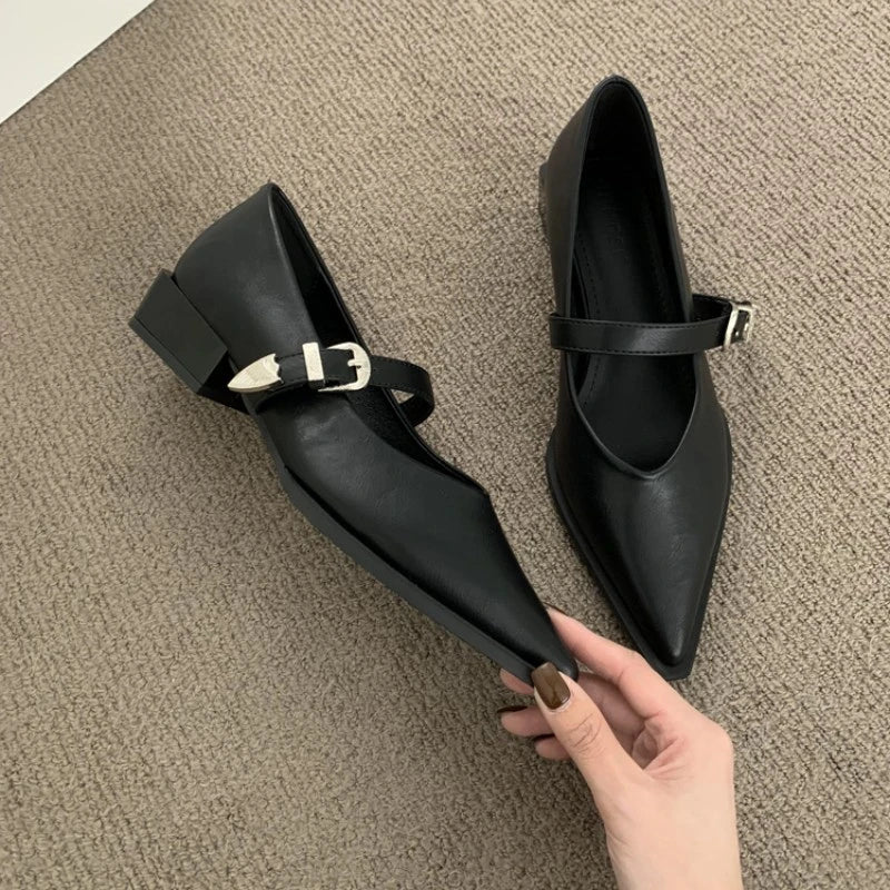 LBSFY -New Style Elegant Pointed Toe Women Heels Shoes Chunky Fashion Heeled Sandals Summer Party Pumps Dress Sandals Zapatos Mujer