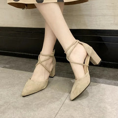LBSFY -New Spring Autumn Women Heels Ankle Cross Strap Thick High Heel Sexy Female Shoes Casual Suede Black Pointed Toe Pumps