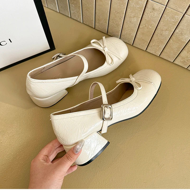 LBSFY -Ballet Style Butterfly-knot Mary Jane Shoes for Women Concise Dress Thick Heel Ladies Footwear