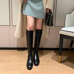 LBSFY -New Women's Black Elegant with Low Heels Shoes Long Brown Boots Winter Knee High Shaft Stylish Lastest Price Goth
