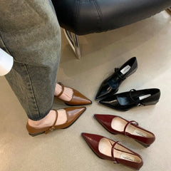 LBSFY -Retro Style Thick Heel Spring and Autumn Women Mary Jane Shoes Fashion Shallow Pointed Toe Ladies Comfort Office Pumps Footwear