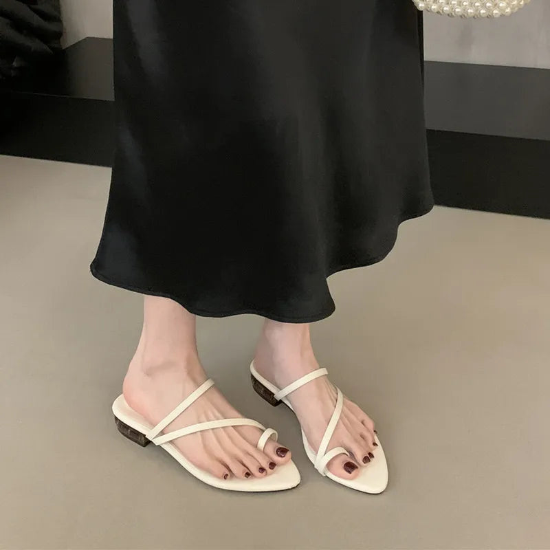 LBSFY - Summer New Brand Women Slipper Fashion Narrow Band Slip On Flip Flop Thin Low Heel Outdoor Dress Sandal Slides