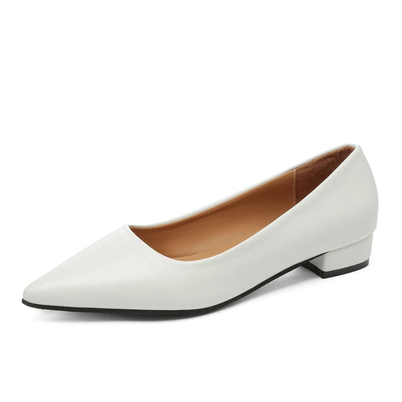 LBSFY  -New Pointed Toe Shallow Mouth Square Heel Small Leather Shoes Women's Elegant Fashion High Heels Dress Shoes Zapatos Mujer