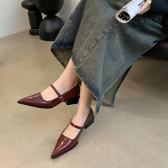 LBSFY -Retro Style Thick Heel Spring and Autumn Women Mary Jane Shoes Fashion Shallow Pointed Toe Ladies Comfort Office Pumps Footwear
