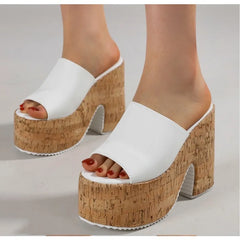 LBSFY -Retro Denim Fabric 12cm High Heels Female Slippers Sandals Summer 2025 Thick Bottom Platform Open Toe Trendy Women Casual Shoes