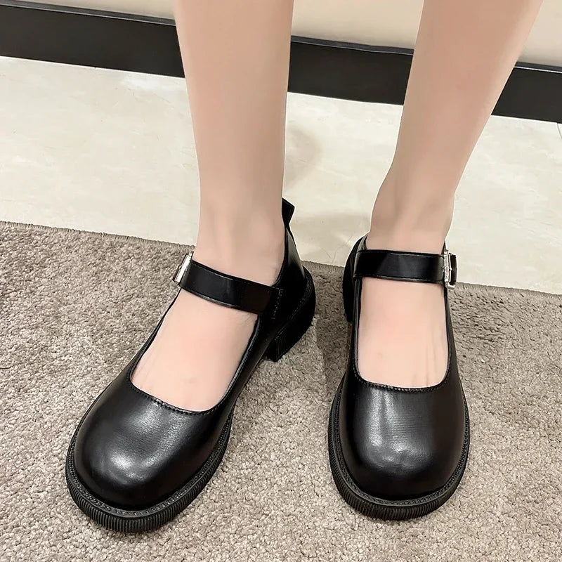 LBSFY -Women's Spring/Summer/Autumn New British Academy Style Low Heel Round Toe Mary Jane Single Shoes with Small Leather Shoes