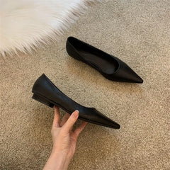 LBSFY -Women Low Heel Pumps Spring Autumn Pointed Shallow Mouth Soft Sole Single Shoe Ladies Work Shoes Female Solid Casual Heels Women