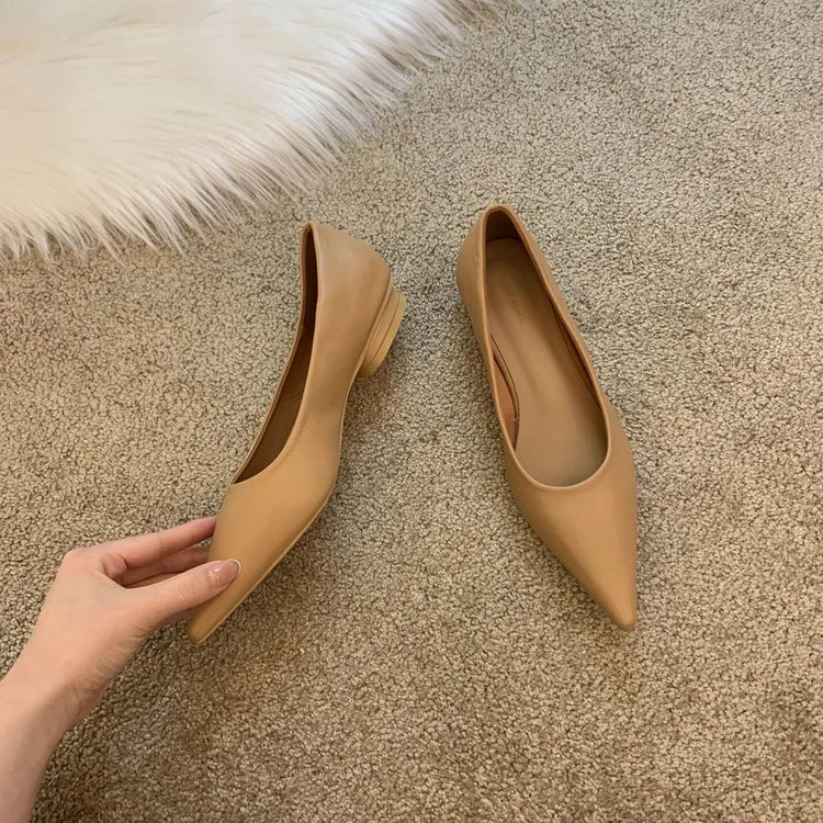 LBSFY -Women Low Heel Pumps Spring Autumn Pointed Shallow Mouth Soft Sole Single Shoe Ladies Work Shoes Female Solid Casual Heels Women
