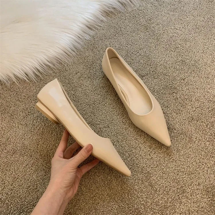 LBSFY -Women Low Heel Pumps Spring Autumn Pointed Shallow Mouth Soft Sole Single Shoe Ladies Work Shoes Female Solid Casual Heels Women