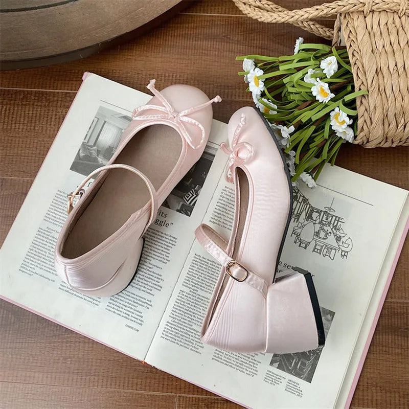 LBSFY -Simple and Gentle Fragrant Retro French Thick Heel Mary Jane Shoes Women's Autumn and Winter Versatile Single Shoes