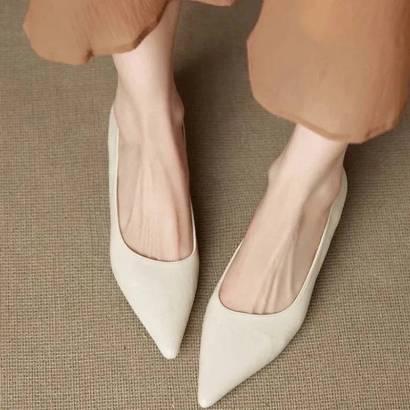 LBSFY -New Style Fashion Women's Leather Shoes Pointed Toe Women Pumps Shoes for Women High Heels Loafers Fashion Concise Ladies Shoes
