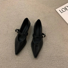 LBSFY -New Style Elegant Pointed Toe Women Heels Shoes Chunky Fashion Heeled Sandals Summer Party Pumps Dress Sandals Zapatos Mujer