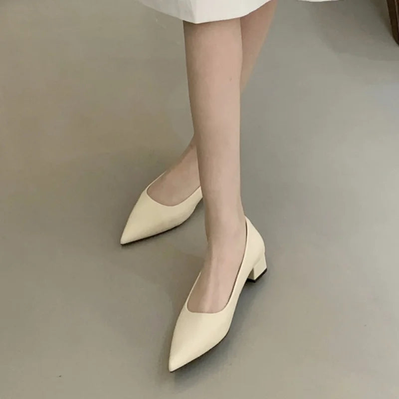 LBSFY  -Brand Women Flats Fashion Soft Casual Women Loafers Pointed Toe Shallow Slip On Elegant Ballerina Shoes Low Heels Dress