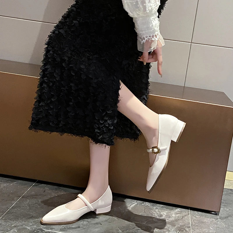 LBSFY  -  2024 New French Pointed Single Shoes for Women's Dress, Elegance, One line with Thick Heels, Commuter Single Shoes