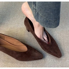 LBSFY -Vintage Pointed Toe Women Granny Shoes Fashion Shallow Slip On Shoes Dancing Party Prom Ladies Pumps Shoes