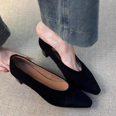 LBSFY -Vintage Pointed Toe Women Granny Shoes Fashion Shallow Slip On Shoes Dancing Party Prom Ladies Pumps Shoes