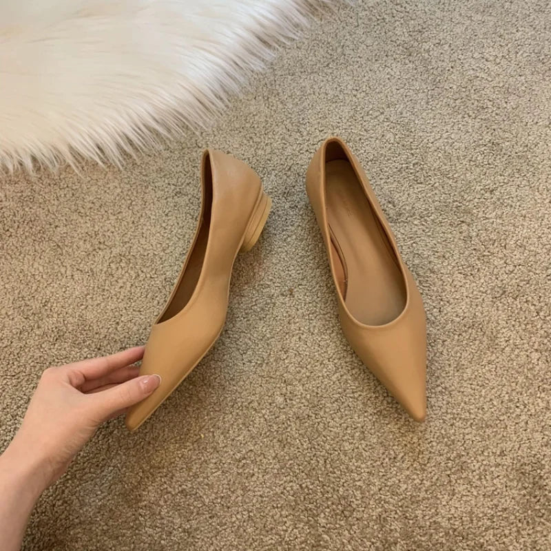 LBSFY -Women Low Heel Pumps Spring Autumn Pointed Shallow Mouth Soft Sole Single Shoe Ladies Work Shoes Female Solid Casual Heels Women