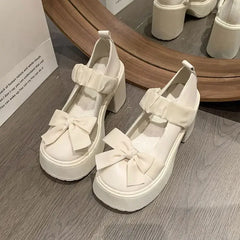 LBSFY -Japanese Style Thick Heel Mary Janes Women's Shoes Spring Summer New Versatile Little Fragrance Style French High Heels Small Le