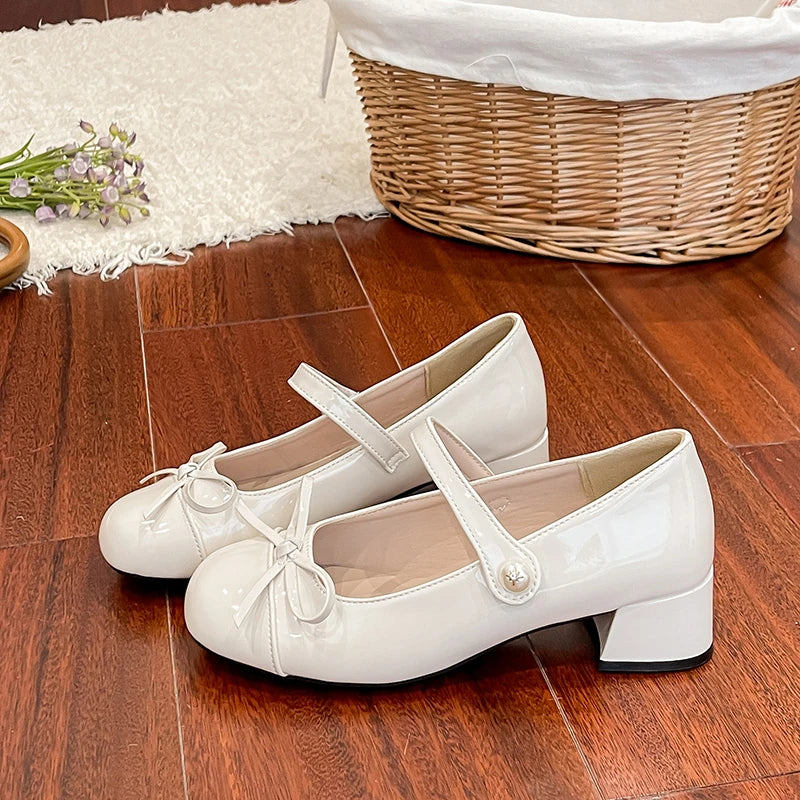 LBSFY -Spring/Summer New Style Fashionable Mary Jane Shoes Shallow Round Toe Mid Heel Shoes Ladies Elegant Outdoor Single Pumps Shoes