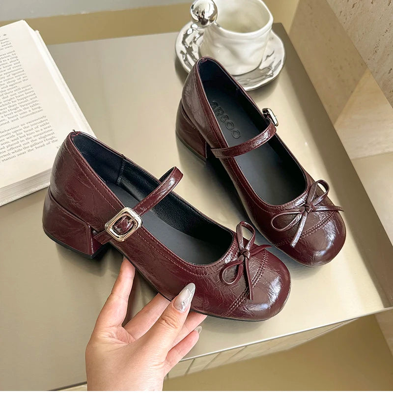 LBSFY -Ballet Style Butterfly-knot Mary Jane Shoes for Women Concise Dress Thick Heel Ladies Footwear