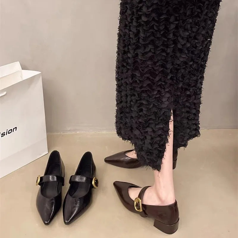 LBSFY -New Style Design High Heeled Mary Jane Pointed Toe Women Single Shoes Leather Comfort Spring Summer Dress Sexy Women's Shoes