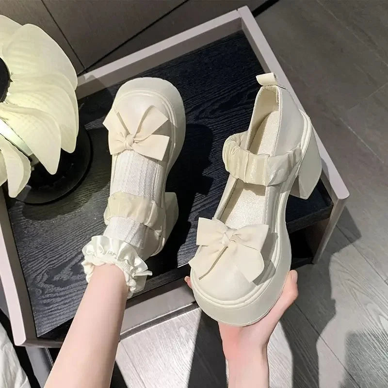 LBSFY -Japanese Style Thick Heel Mary Janes Women's Shoes Spring Summer New Versatile Little Fragrance Style French High Heels Small Le