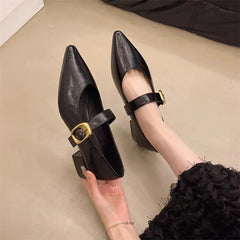 LBSFY -New Style Design High Heeled Mary Jane Pointed Toe Women Single Shoes Leather Comfort Spring Summer Dress Sexy Women's Shoes