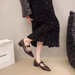 LBSFY -New Style Design High Heeled Mary Jane Pointed Toe Women Single Shoes Leather Comfort Spring Summer Dress Sexy Women's Shoes