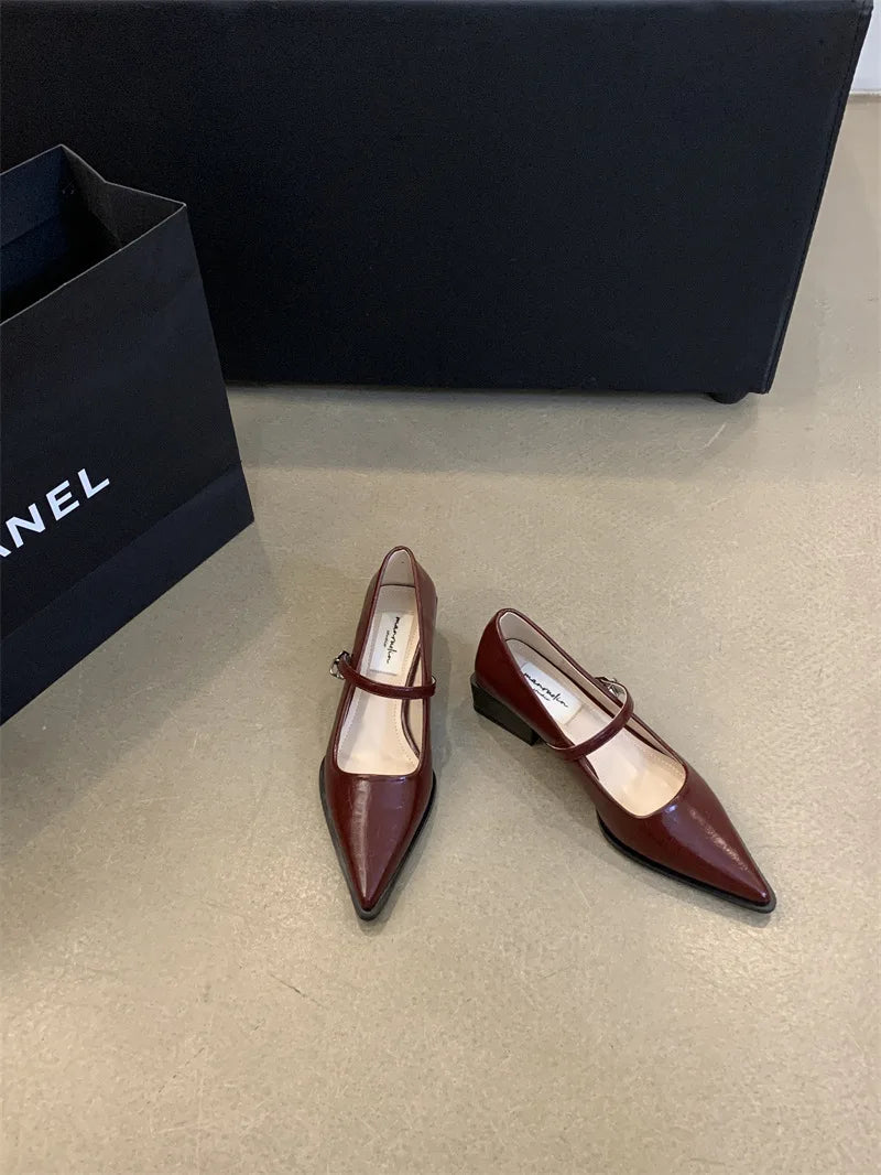 LBSFY -Retro Style Thick Heel Spring and Autumn Women Mary Jane Shoes Fashion Shallow Pointed Toe Ladies Comfort Office Pumps Footwear