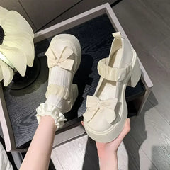 LBSFY -Japanese Style Thick Heel Mary Janes Women's Shoes Spring Summer New Versatile Little Fragrance Style French High Heels Small Le