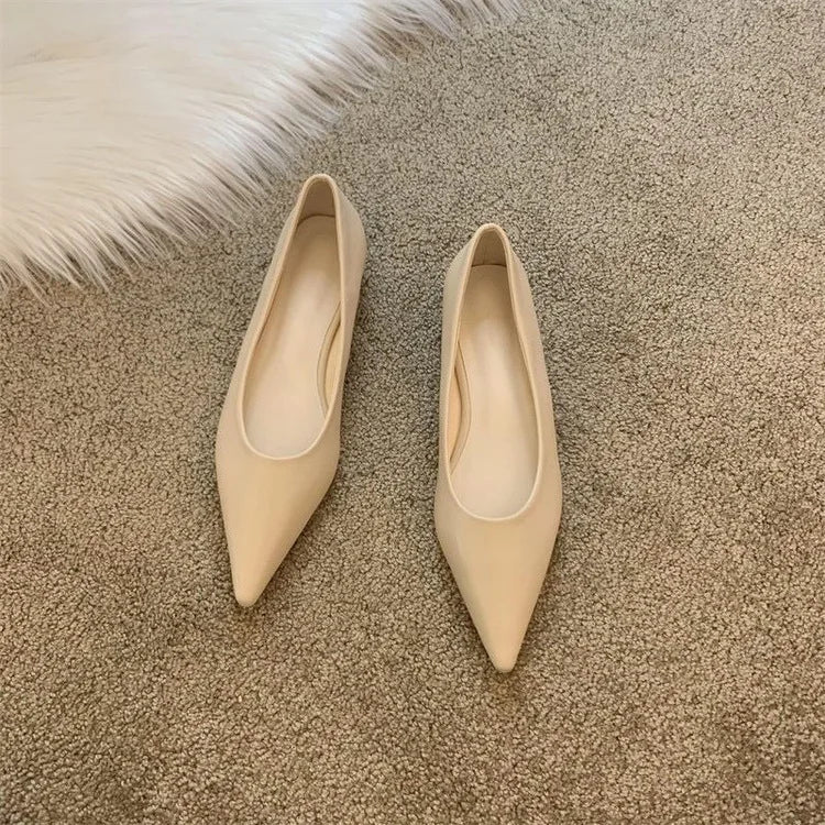 LBSFY -Women Low Heel Pumps Spring Autumn Pointed Shallow Mouth Soft Sole Single Shoe Ladies Work Shoes Female Solid Casual Heels Women