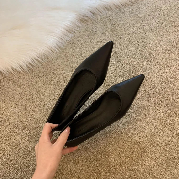 LBSFY -Women Low Heel Pumps Spring Autumn Pointed Shallow Mouth Soft Sole Single Shoe Ladies Work Shoes Female Solid Casual Heels Women