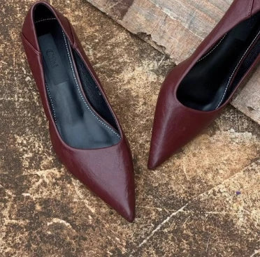 LBSFY -Spring Design Leopard Print Woman Pumps Pointed Toe Thin Low Heels Elegant Party Female High Heel Pumps Zapatos De Mujer